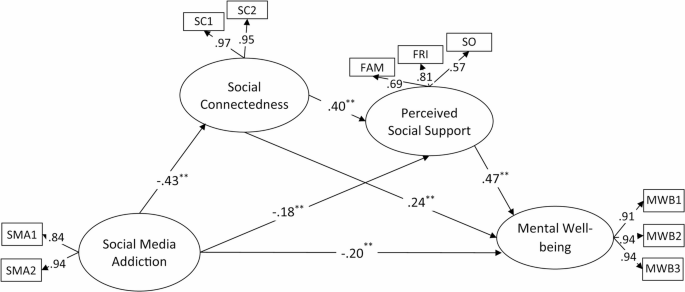 Social Media Addiction and Mental Well-Being: Social Connectedness and Perceived Social Support as Serial Mediators
