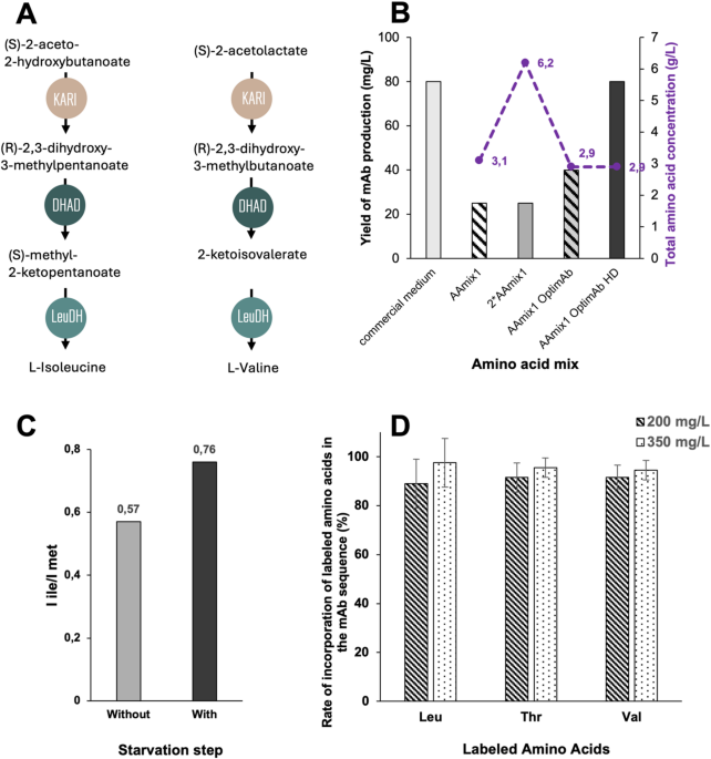 Methyl-specific NMR of therapeutic antibodies: cost-effective isotopic labeling strategies in CHO cells for high-resolution structural characterization