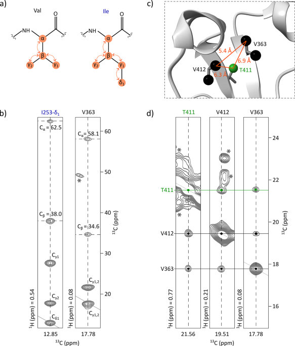 Toward site-specific characterization of structural perturbations on glycosylated Fc using NMR at natural abundance