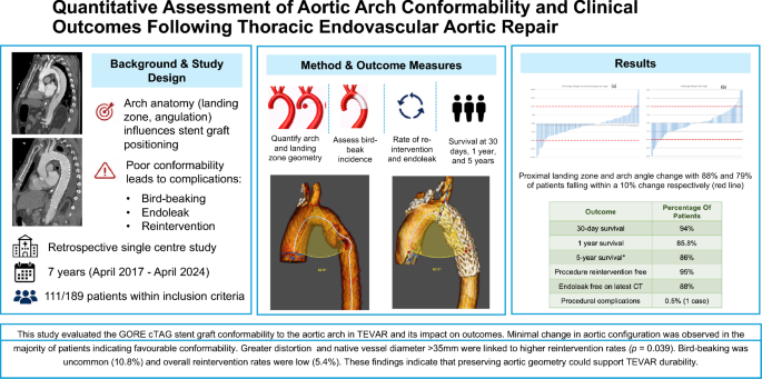 Quantitative Assessment of Aortic Arch Conformability and Clinical Outcomes Following Thoracic Endovascular Aortic Repair