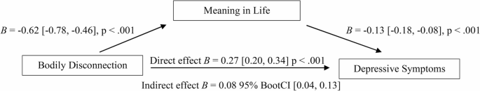 Bodily Disconnection in Older Adults Residing in Nursing Homes: The Relationship between Bodily Disconnection, Depressive Symptoms and Meaning in Life