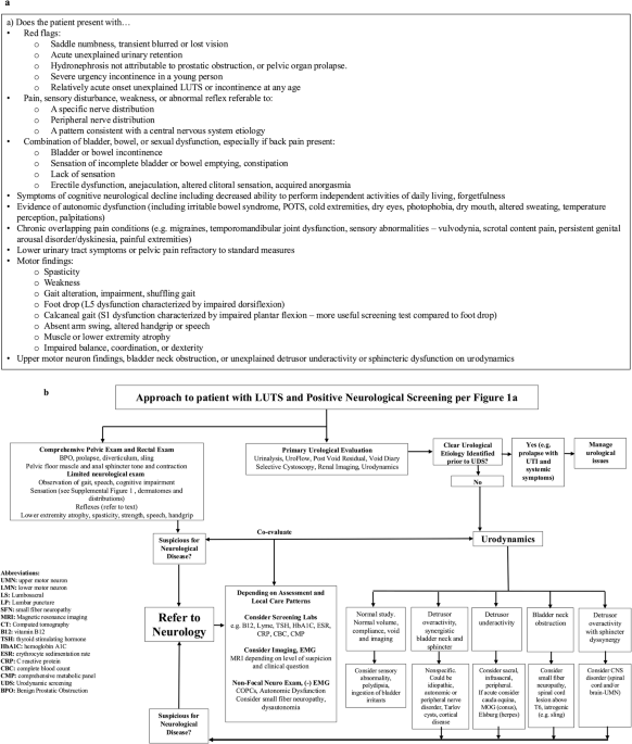 Lower Urinary Tract Symptoms as an Indicator of Occult Neurologic Disease: A System-first Framework for Urologic Practice
