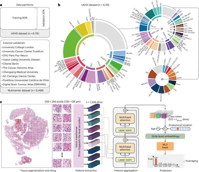 Hetairos is a histology-based artificial intelligence model for predicting central nervous system tumor methylation subtypes