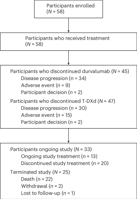 First-line durvalumab in combination with trastuzumab deruxtecan in women with locally advanced unresectable or metastatic, hormone-receptor-negative, HER2-low breast cancer: multicenter, open-label, phase 1b/2 BEGONIA platform trial
