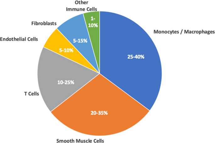 Single-cell Technologies in Atherosclerosis: Uncovering Cellular Heterogeneity, Mechanisms, and Therapeutic Opportunities