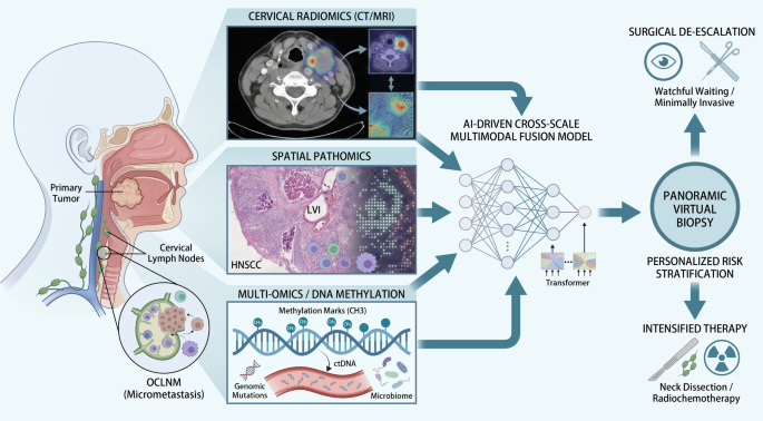 Decoding Occult Cervical Lymph Node Metastasis in Head and Neck Squamous Cell Carcinoma: From AI-Driven Multimodal Fusion to Clinical Translation