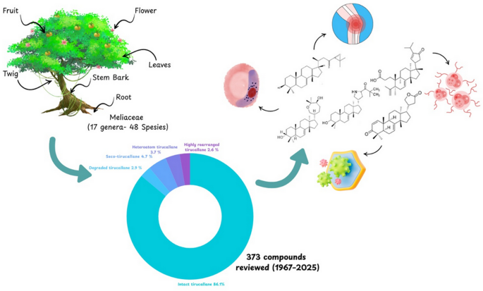 Distribution and bioactivities of tirucallane-type triterpenoids from Meliaceae family
