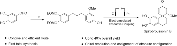 First total synthesis of (±)-spirobroussonin B via electromediated oxidative coupling for constructing spirodienone ring