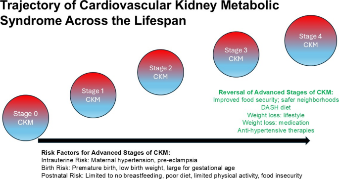 Intersection of Pediatric Hypertension and Cardiovascular-Kidney-Metabolic Disease