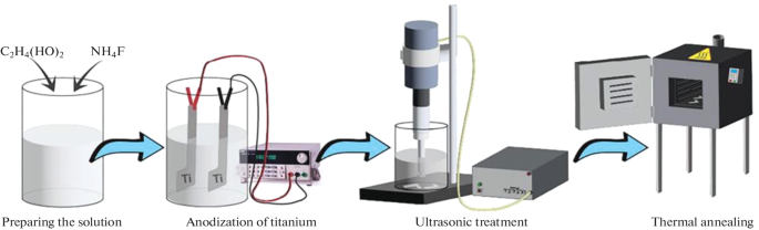 Nanocrystalline TiO Films: Heat Treatment and Structural Stability