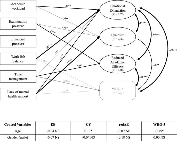 Burnout symptoms, burnout rate, well-being, and academia-related stress factors in medical students