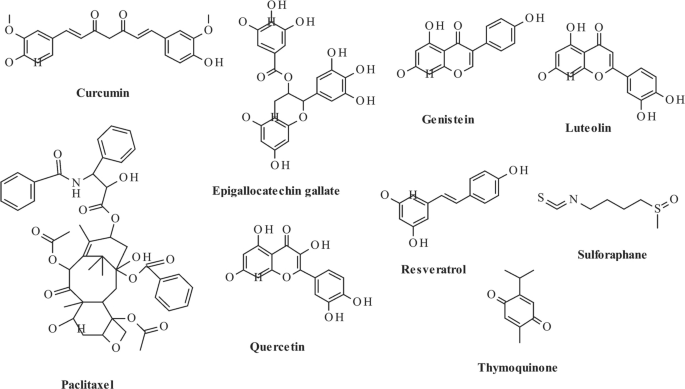 Correction: Nanotechnology-enhanced Natural Products for Cancer Chemoprevention: Molecular Mechanisms and Clinical Translation