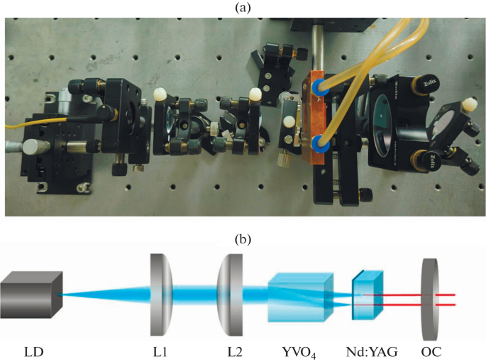 Orthogonally Polarized and Double-Resonant Nd:YAG Lasers Pumped by Birefringent Dual Points