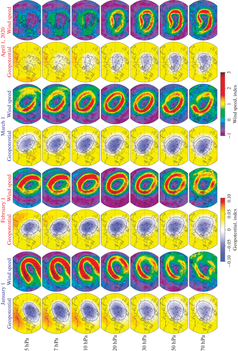 Vertical Dynamics of the Stratospheric Polar Vortices during their Anomalous Strengthening in 2020