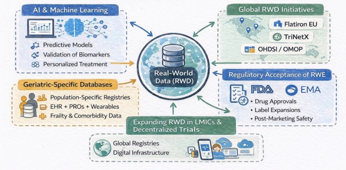 Leveraging Real-World Data for Clinical Decision Making in Geriatric Oncology