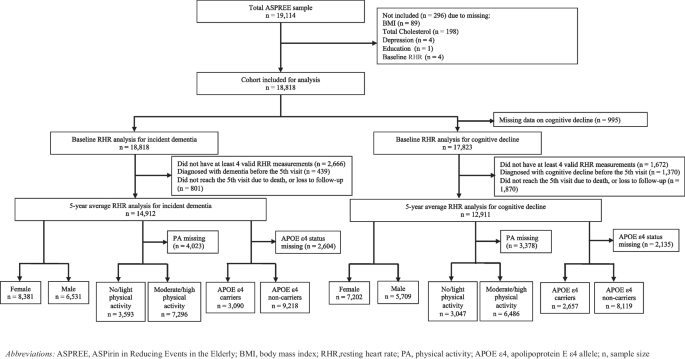 Resting heart rate and cognitive function in ageing: Insights from a secondary data analysis