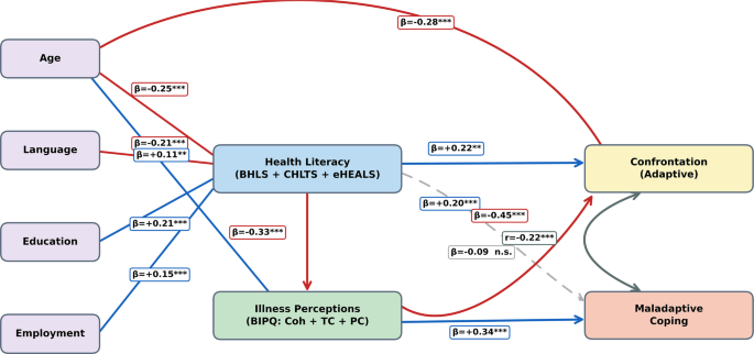 Social determinants and health literacy in cancer coping: sequential mediation through illness perceptions within the common-sense model