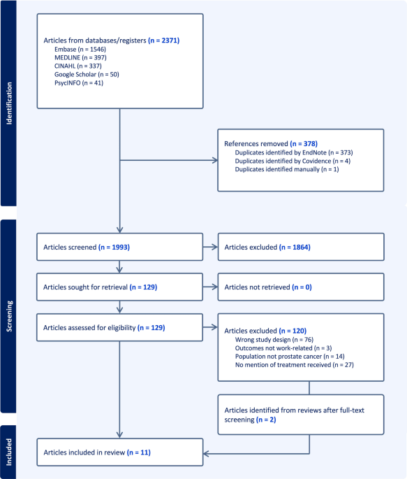 Navigating work after prostate cancer treatment: a systematic review of qualitative research