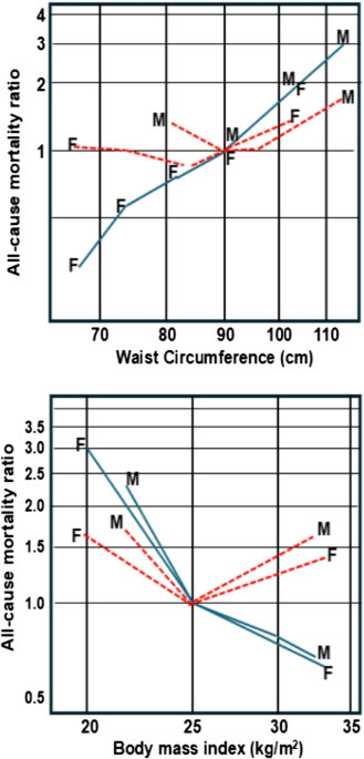 Beyond Single Anthropometric Measures: Integrating Waist Circumference and Body Mass Index to Stratify Obesity-Related Health Risk