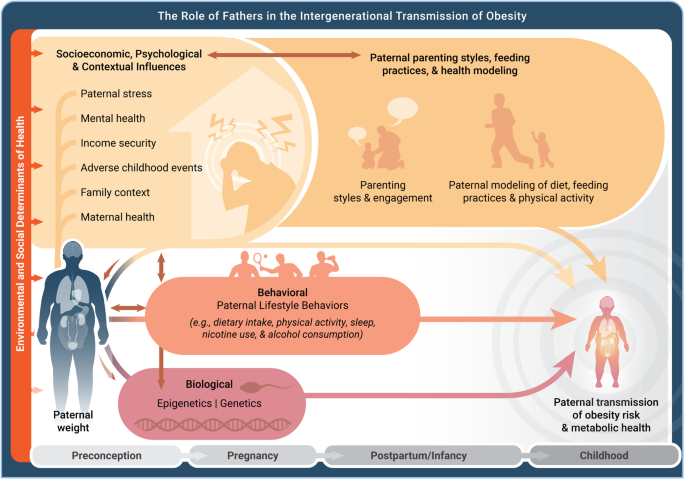 The Role of Fathers in the Intergenerational Transmission of Obesity