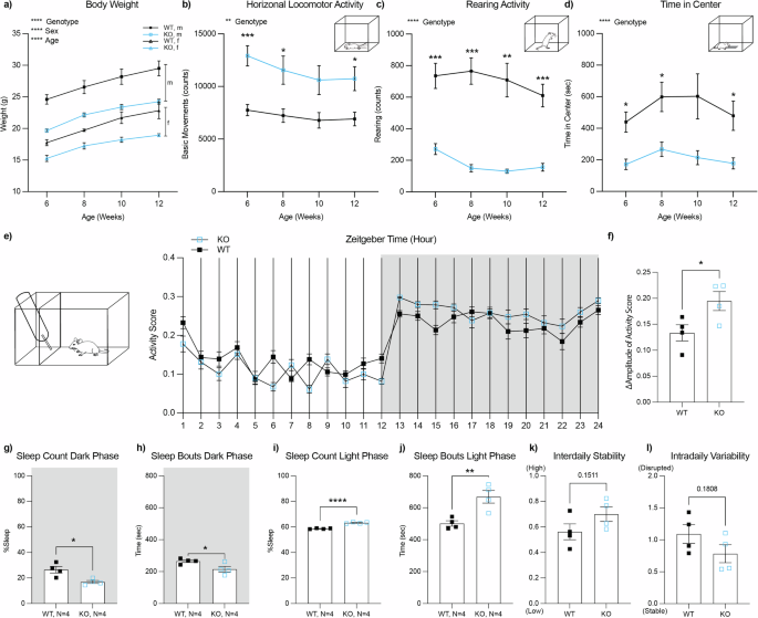 Altered striatal dopamine regulation in Adgrl3 knockout mice