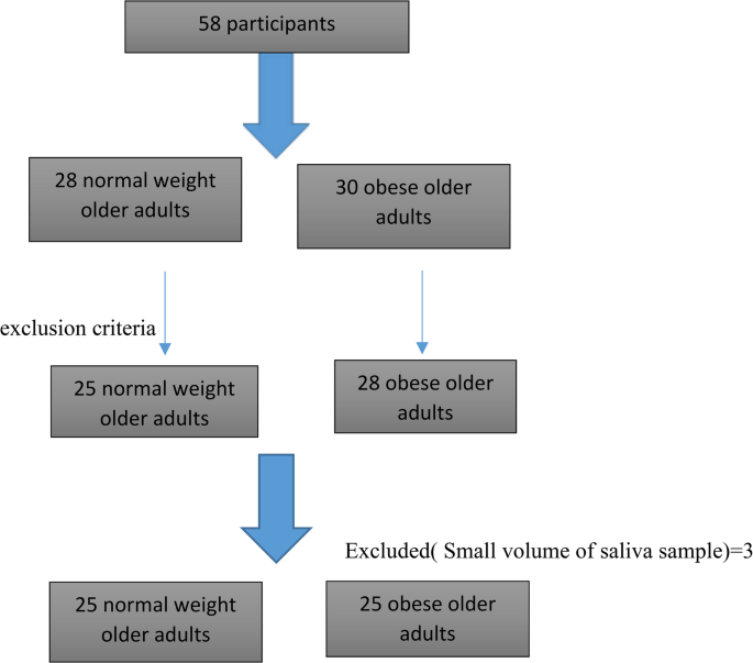 Insights into selected salivary bacteria and obesity: evidence from a case–control study in older adults