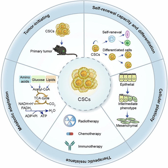 Molecular mechanisms for sustaining cancer stem cells characteristics and targeted therapeutic strategies