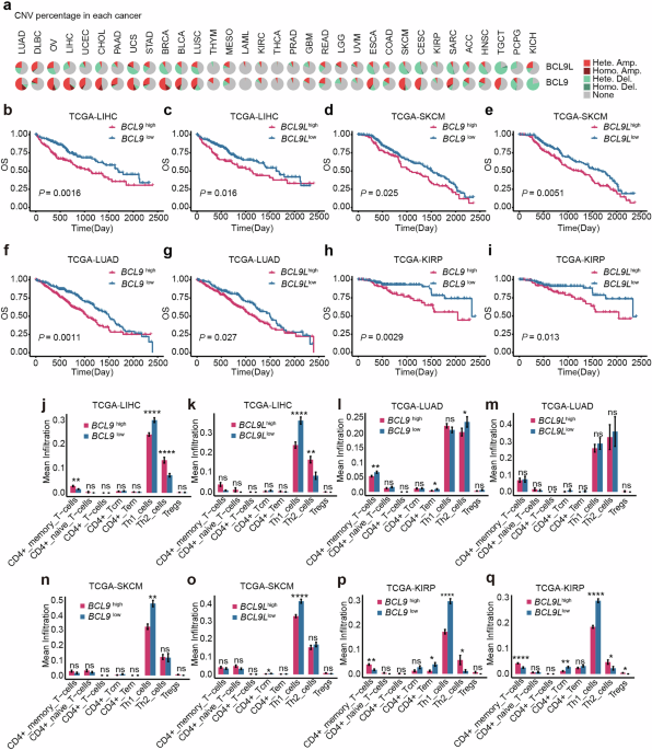Targeting BCL9/BCL9L enhances CD4+ T cell-mediated Th1 antitumor immunity through activation of STAT1/STAT4 signaling