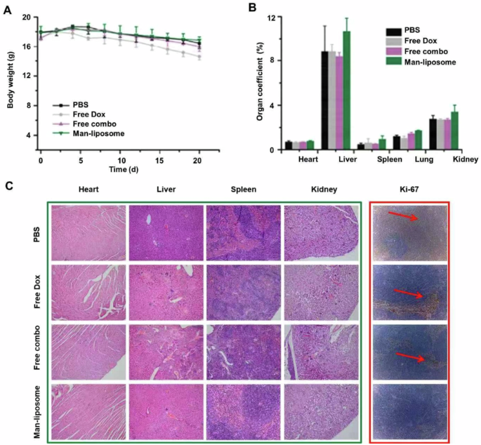 Correction: Codelivery of dihydroartemisinin and doxorubicin in mannosylated liposomes for drug-resistant colon cancer therapy