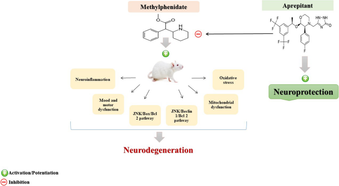 Aprepitant’s neuroprotective effects on methylphenidate-induced biochemical/mitochondrial dysfunction, neuroinflammation, and mood-related behavior alterations