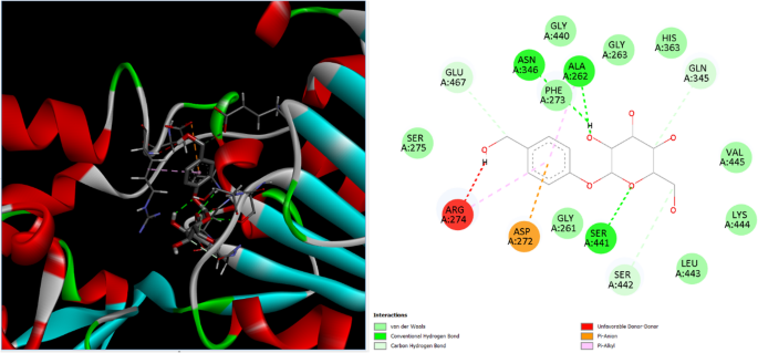 Gastrodin as a nephroprotective agent: Molecular docking–based modulation of oxidative stress, fibrosis, and inflammation