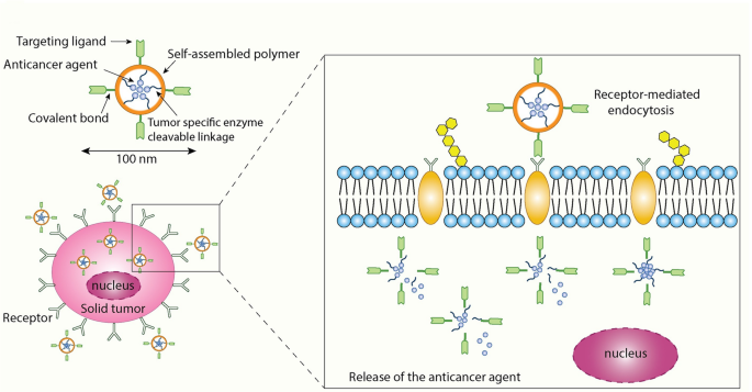 Engineering microspheres for breast cancer: integrating tumor modeling, diagnostics, and targeted treatment