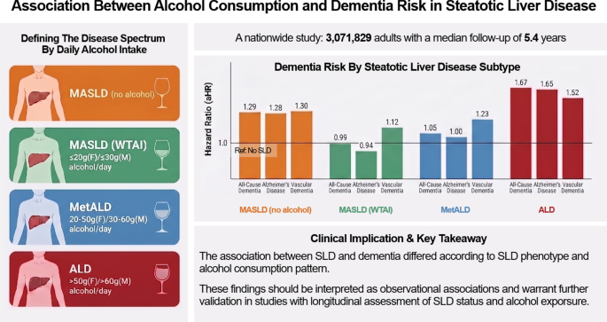 Alcohol consumption and dementia risk in steatotic liver disease: a nationwide cohort study