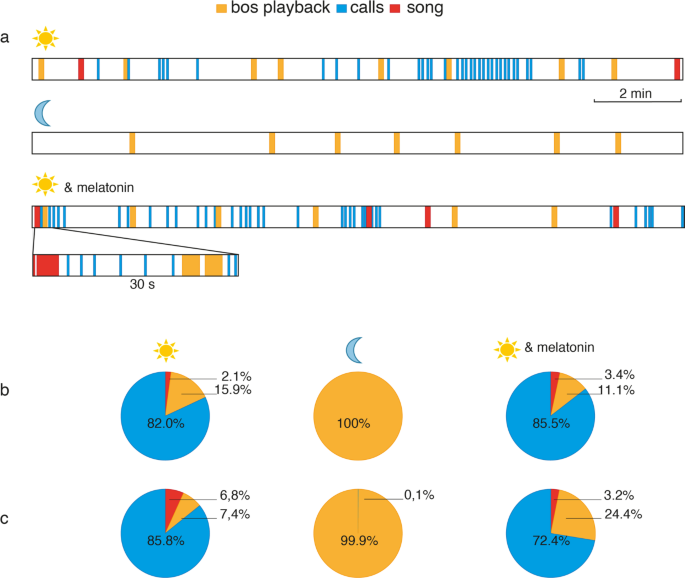 Nightly changes in neural activity and auditory processing of song control neurons depend on melatonin