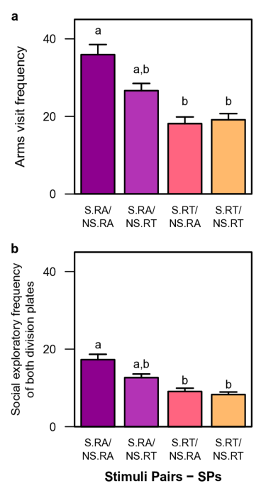Growing up together or apart: rearing experience effects on opposite-sex sibling discrimination in Chilean brush tailed mouse ()