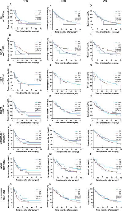 Inflammation and RNA-Related Polymorphisms in Resected Cholangiocarcinoma: Prognostic Associations in Intrahepatic and Perihilar Tumors