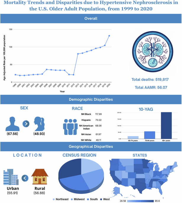 Mortality trends and demographics due to hypertensive nephrosclerosis in older adults from 1999–2020