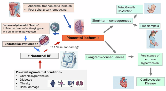 Nocturnal blood pressure and the risk of preeclampsia: an overlooked link