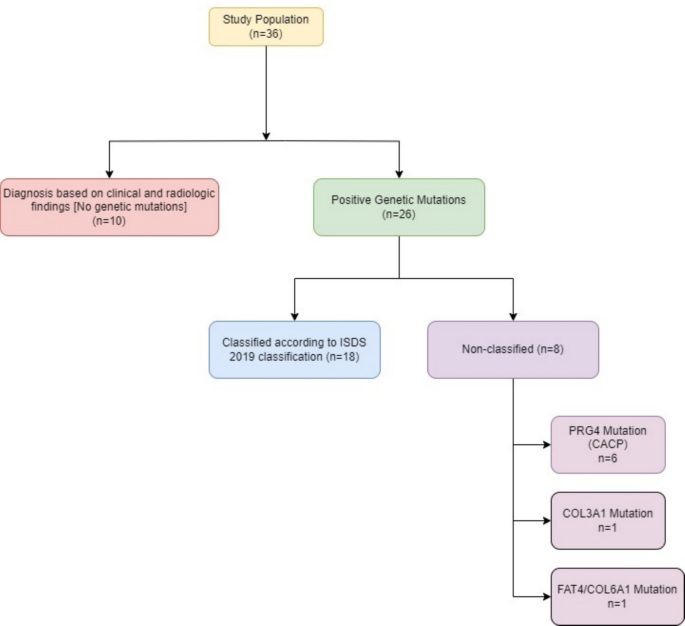 Unmasking JIA mimics: skeletal dysplasias in pediatric rheumatology