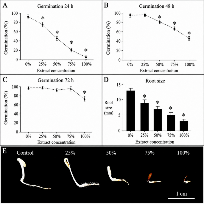 Oxidative imbalance, mitotic inhibition, and DNA damage in early development of lettuce induced by  Benth. (Fabaceae) aqueous extract