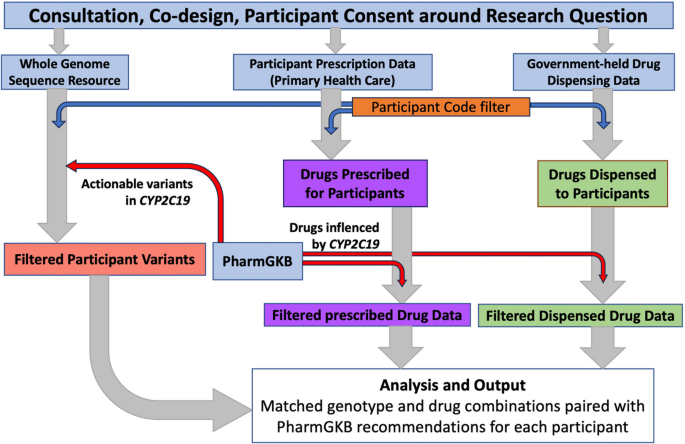 A primary care pharmacogenetic precision medicine pilot based on specific Māori tribal ethical frameworks and principles