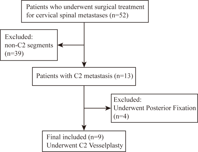 Anterior mini-incision vesselplasty using bone filling container for C2 metastasis: a single center case series