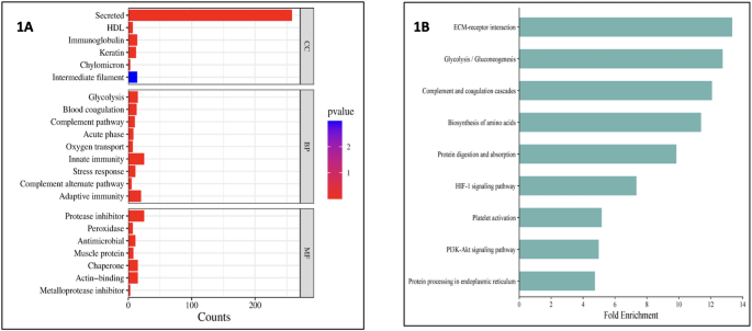 Proteomic signature of human annulus fibrosus and cartilage endplate: divergent matrisomal architectures reveal complementary roles in intervertebral disc homeostasis