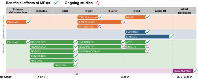 Mineralocorticoid receptor antagonists for the treatment of heart failure and kidney disease: a state-of-the-art review