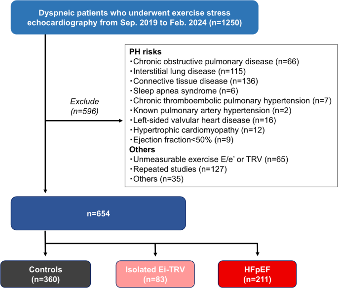 Isolated increases in tricuspid regurgitation velocity during exercise in dyspneic patients without risks for pulmonary hypertension