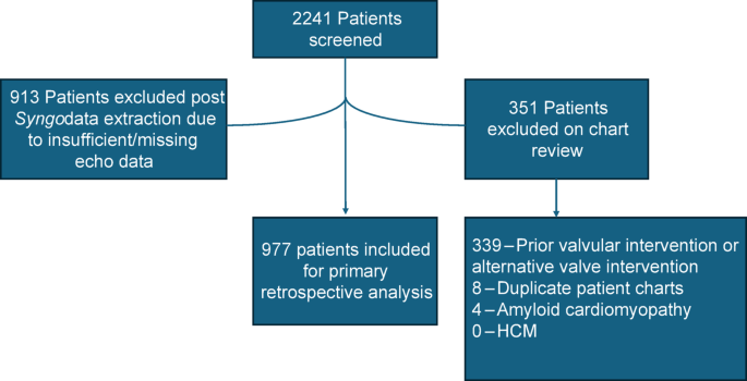 Sex differences in echocardiographic left ventricular remodeling and clinical outcomes following transcatheter aortic valve implantation