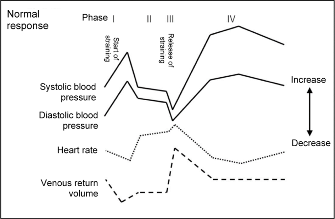 2026 focsused update incorporated into the Japanese society of echocardiography 2023 practice guidance for the implementation of stress echocardiography “stress echocardiography using the Valsalva maneuver”