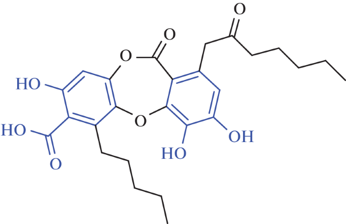 Cytotoxic and Cytostatic Properties of Lichen Depsidones (Review)