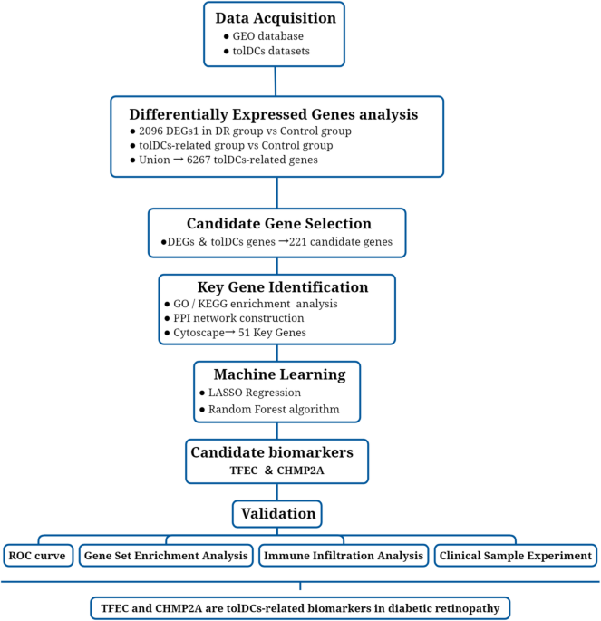 Identification and validation of tolerogenic dendritic cells-related biomarkers in diabetic retinopathy