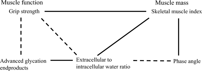 Phase angle, extracellular to intracellular water ratio, and advanced glycation end products according to four sarcopenia categories and in relation to muscle strength/mass in elderly out-patients with diabetes